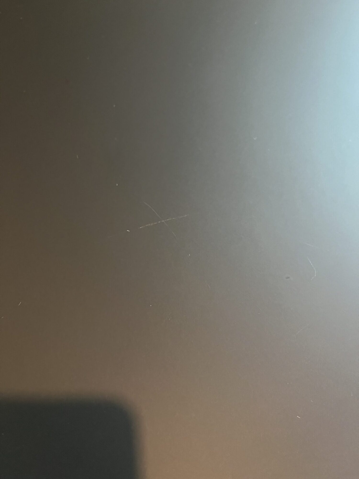 IMG_8778-rotated-1.jpeg