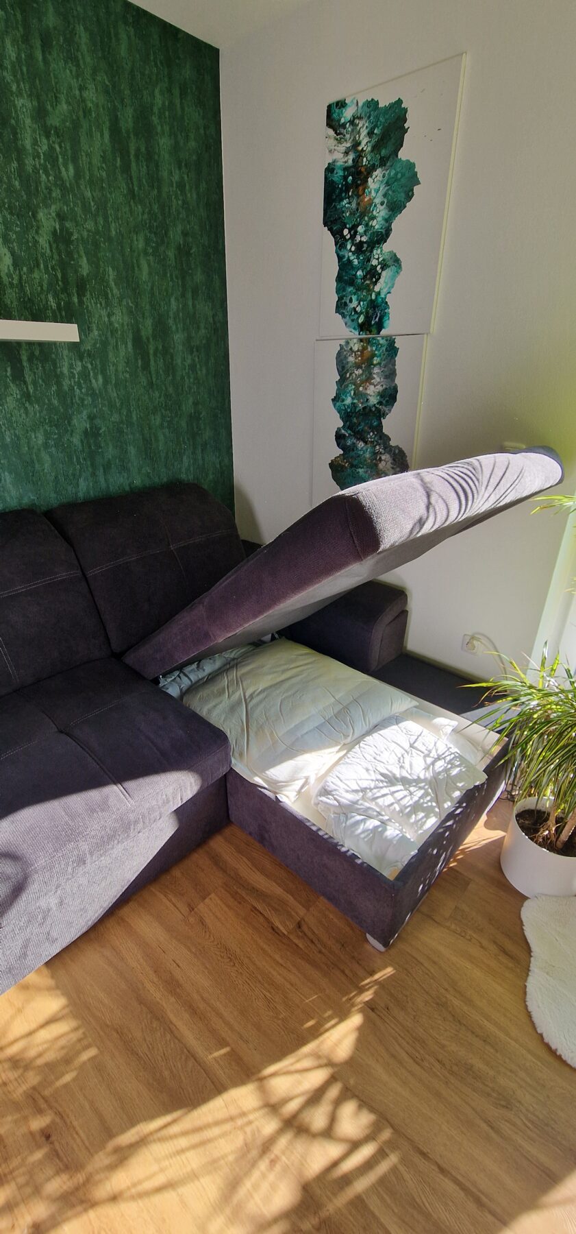 20250216_140217-scaled-1.jpg