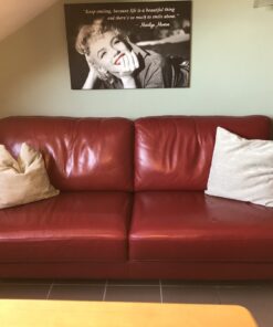 Rotes Ledersofa
