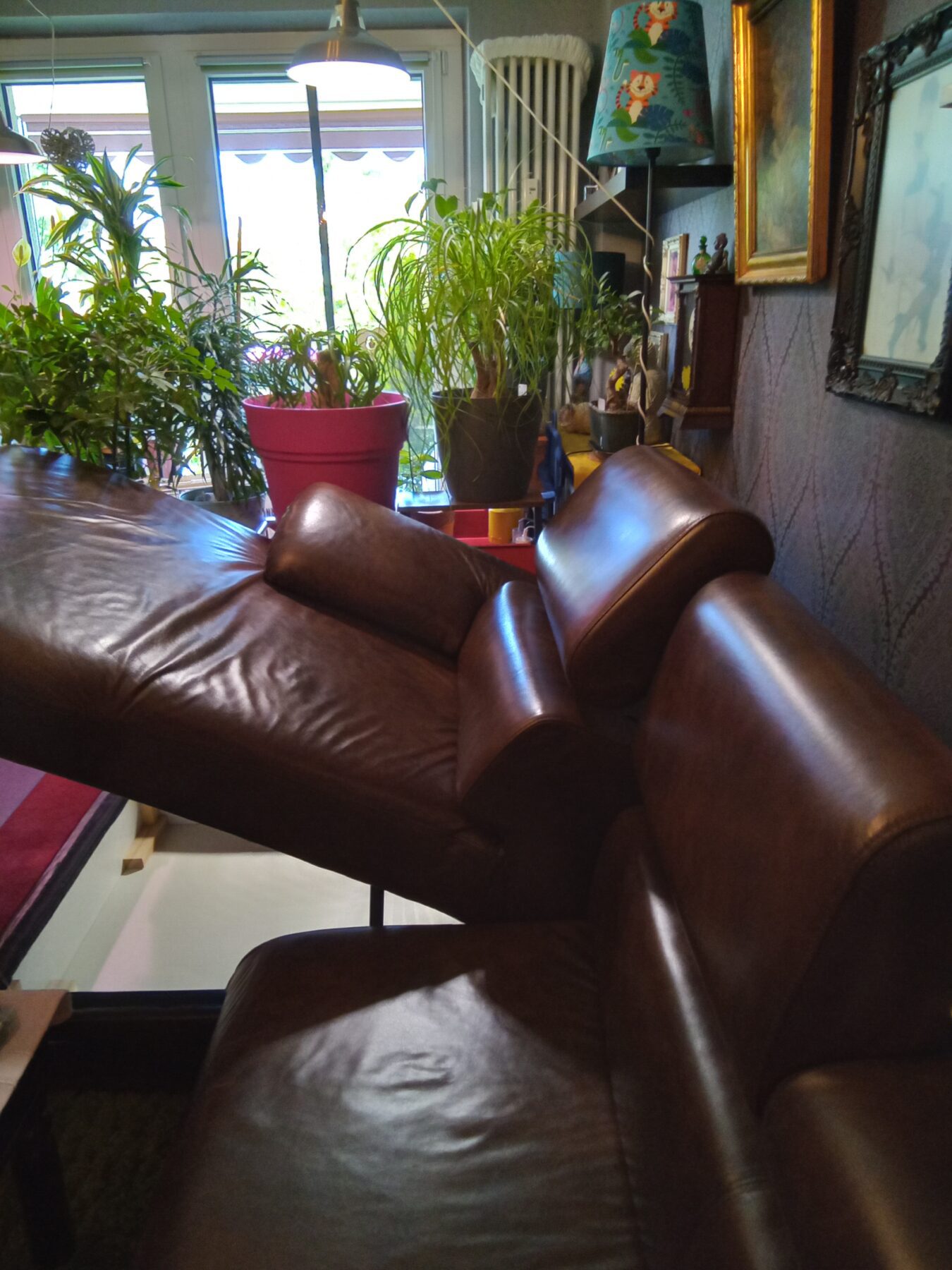 20250427_150645-scaled-1.jpg