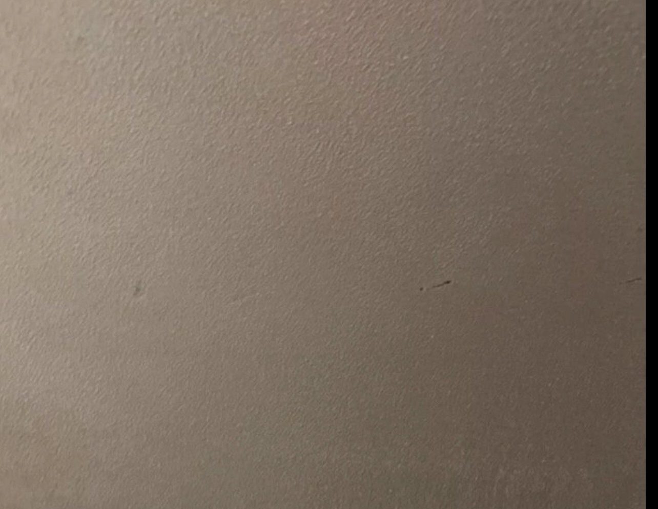 IMG_1020-1.jpeg