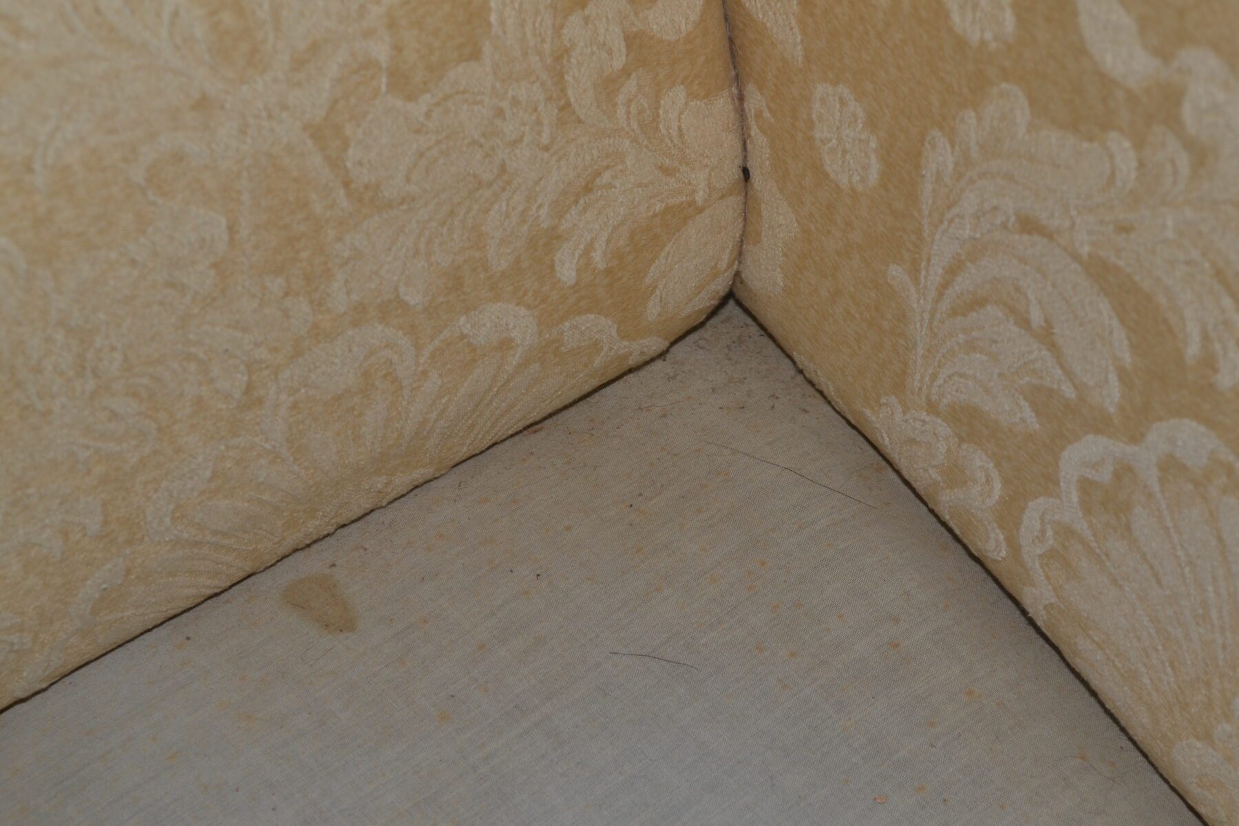 sofa4-scaled-1.jpg