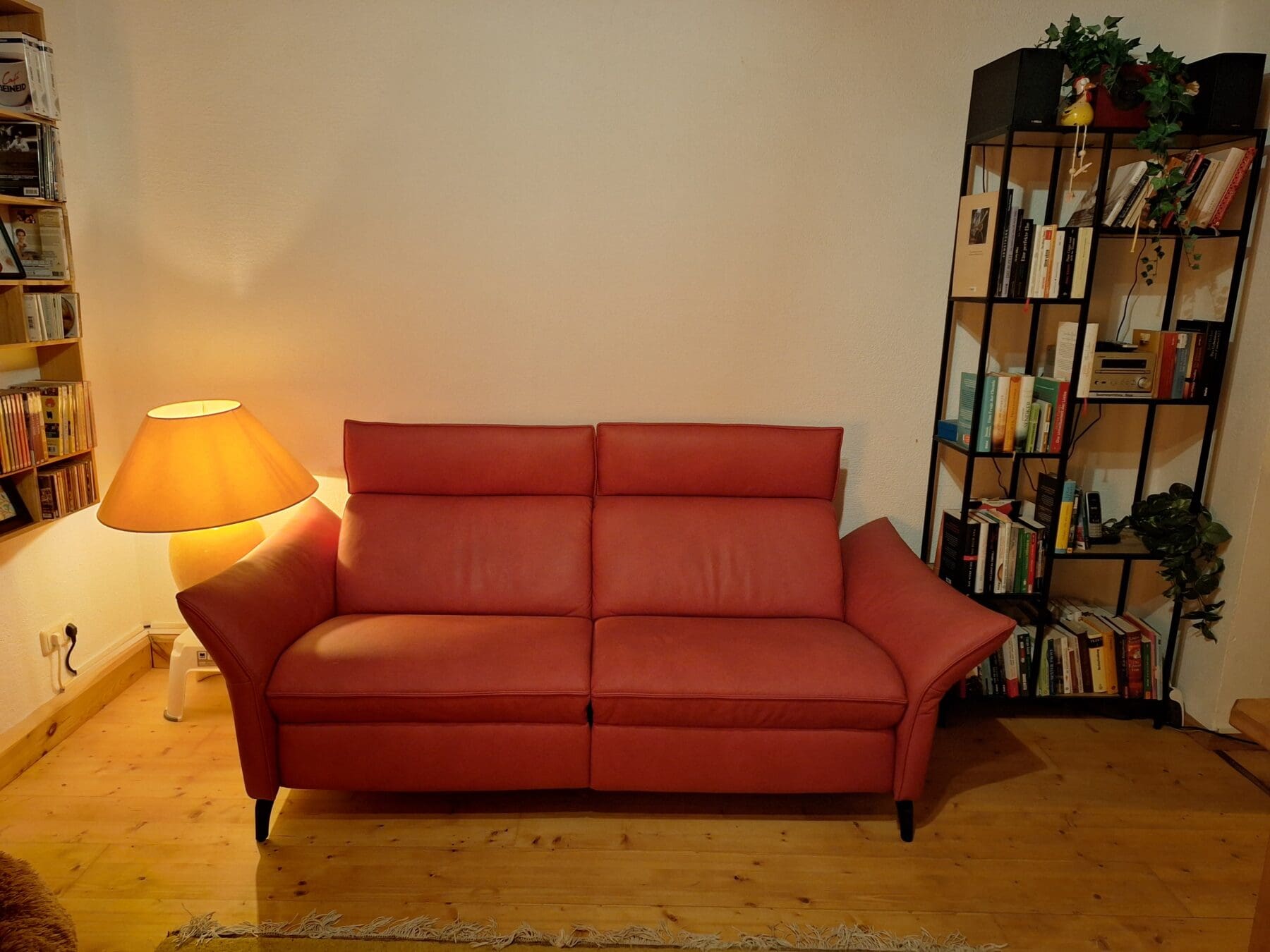 20241117_164948-scaled-1.jpg
