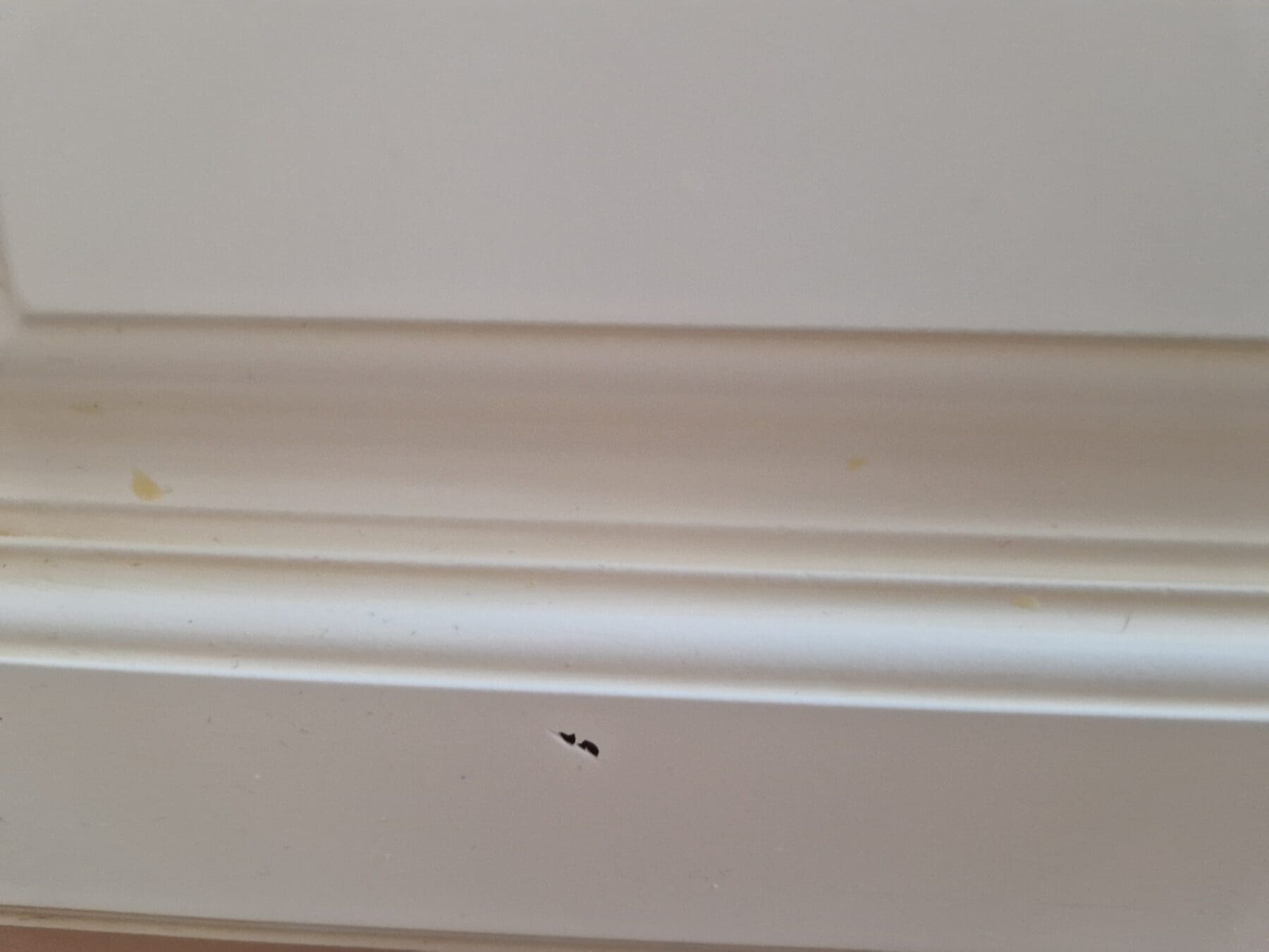 20250821_173808-scaled-1.jpg