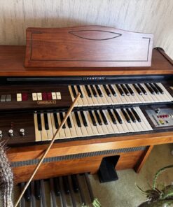 Orgel