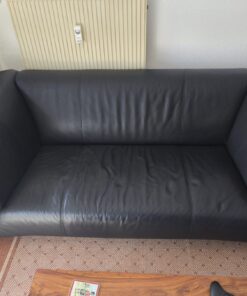 Rolf Benz Sofa mit Lederbezug