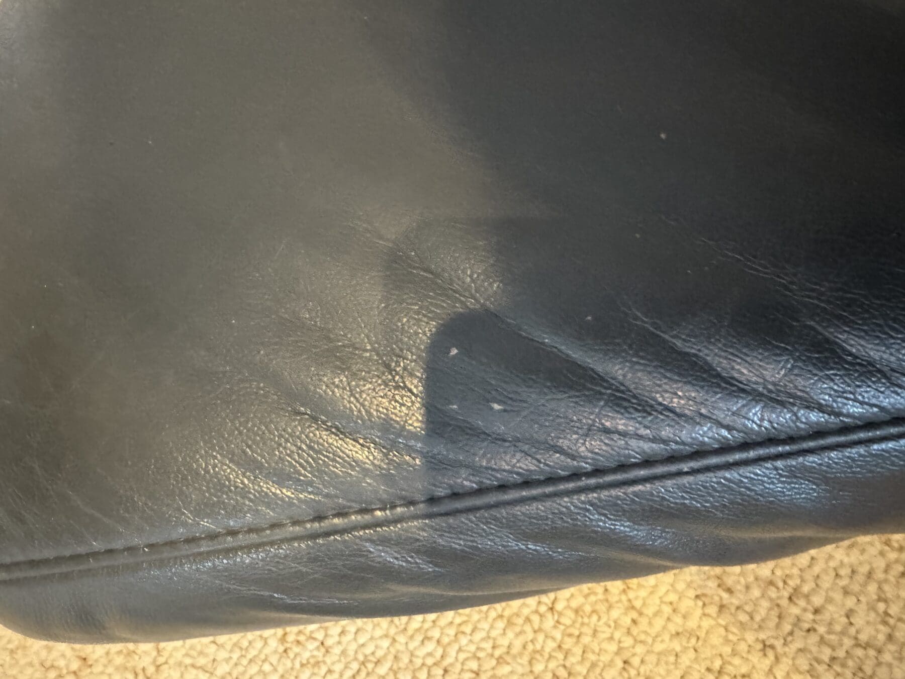 IMG_6096-scaled-1.jpeg