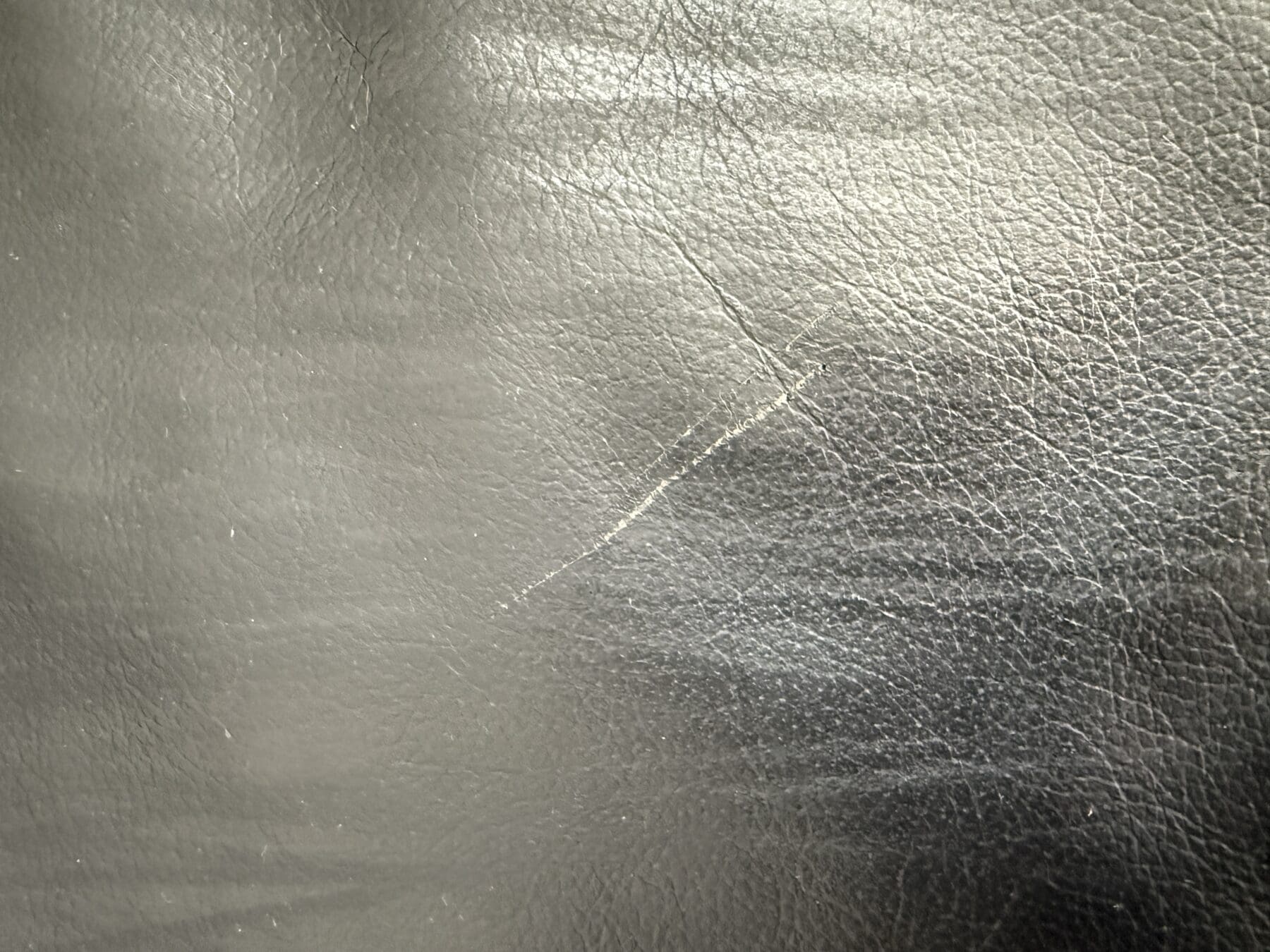 IMG_7803-scaled-2.jpeg