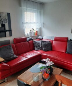 Ledercouch rot