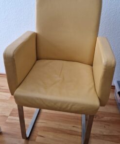 Stuhl, Esszimmer, Musterring, Leder