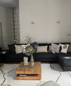 Sofa mit Longchair