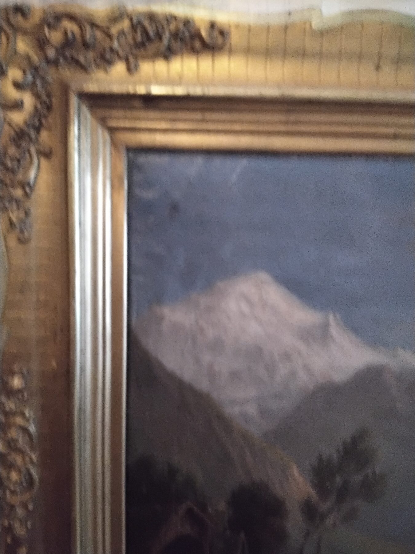 20251104_105004-scaled-1.jpg