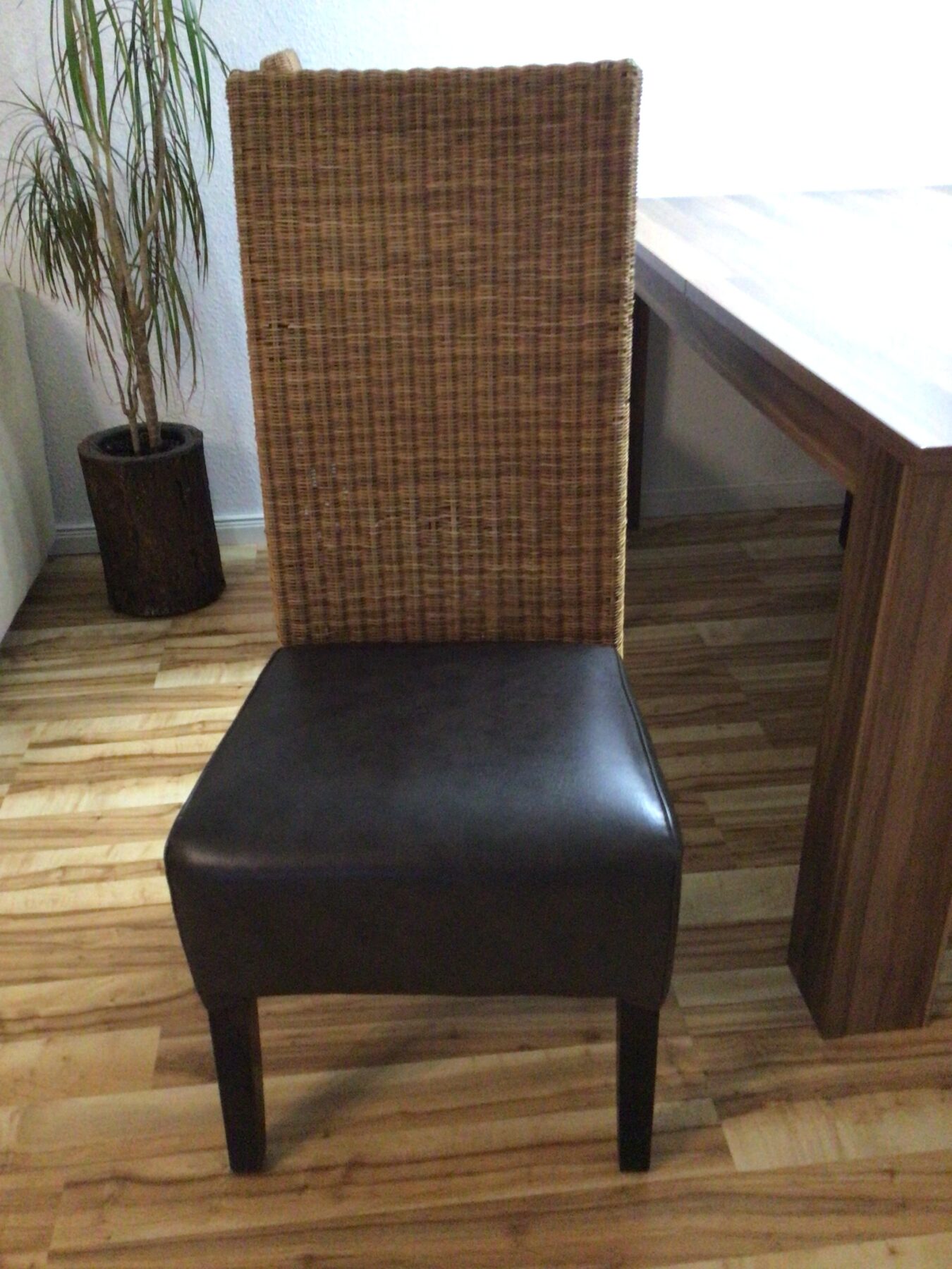 IMG_0521-scaled-1.jpeg