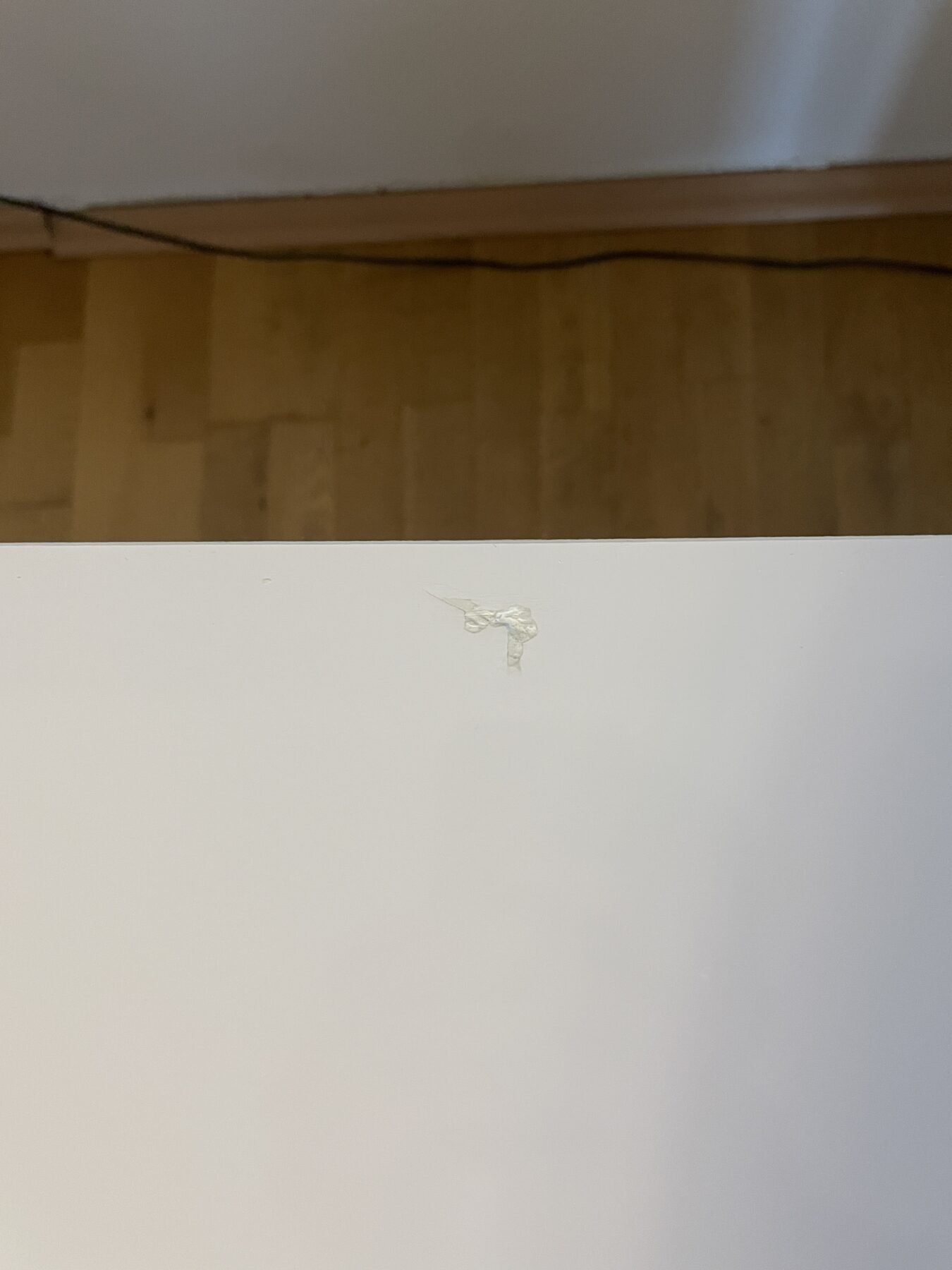IMG_6802-scaled-1.jpeg