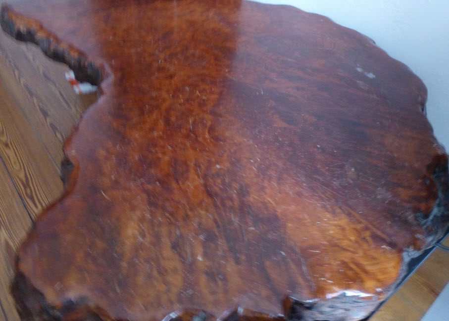 Redwood1.jpg