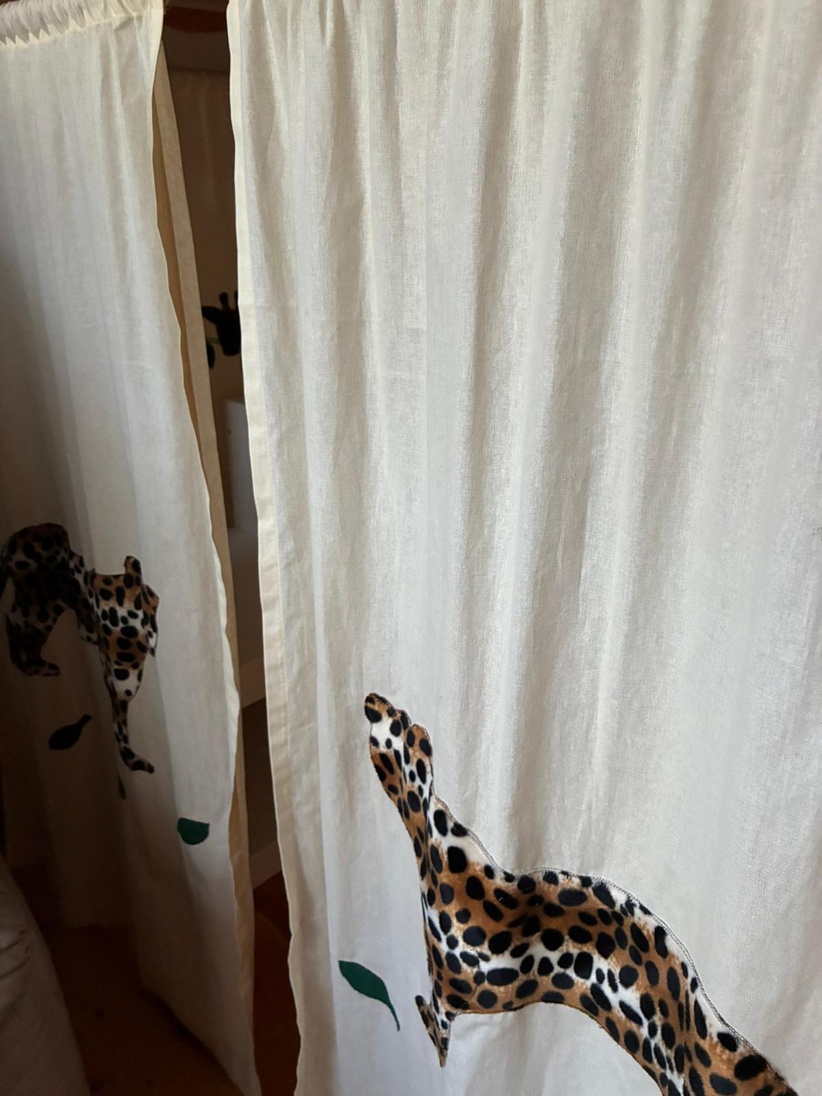 afaeb8d0-c371-4d14-b781-9362dd150321.jpeg
