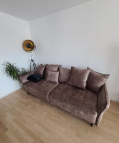 Big Sofa Carry Home
