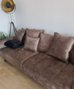 Big Sofa Carry Home