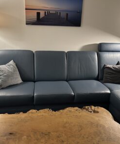 Ledercouch mit Federkern und Canape mit Relaxfunktion