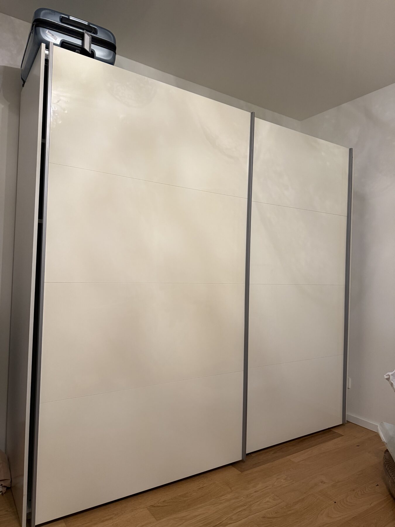 IMG_8383-scaled-1.jpeg