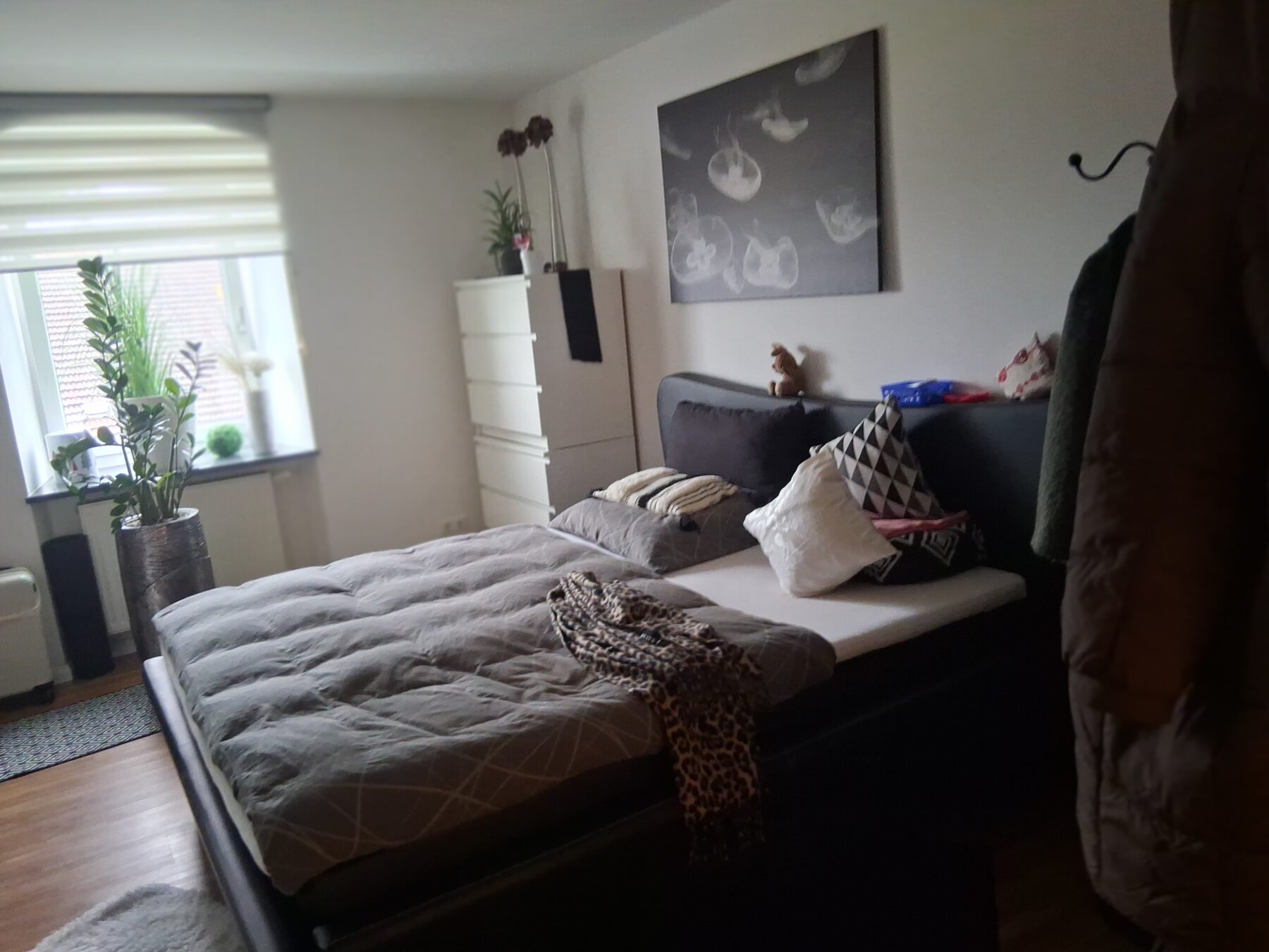 20251129_135552-1-1-scaled-1.jpg