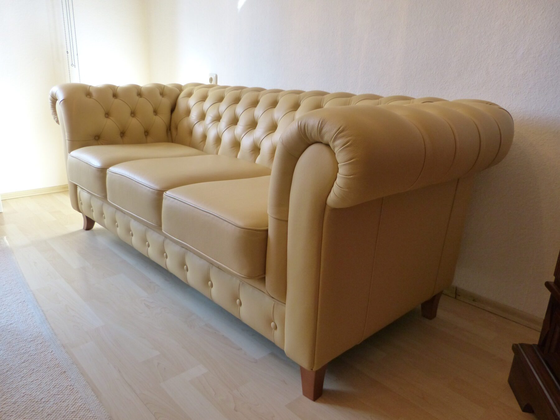 P1020461-scaled-2.jpg