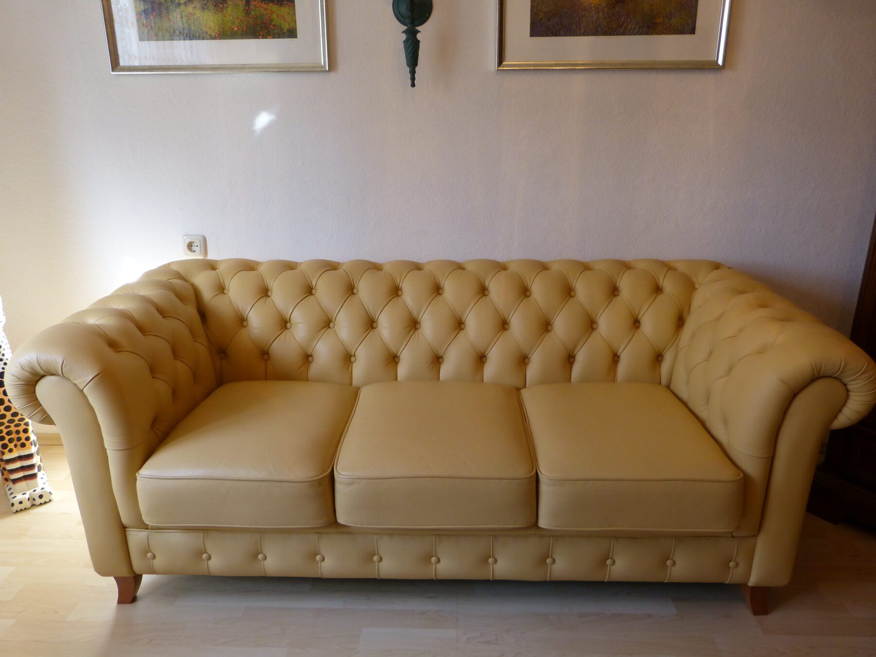 P1020462-scaled-2.jpg