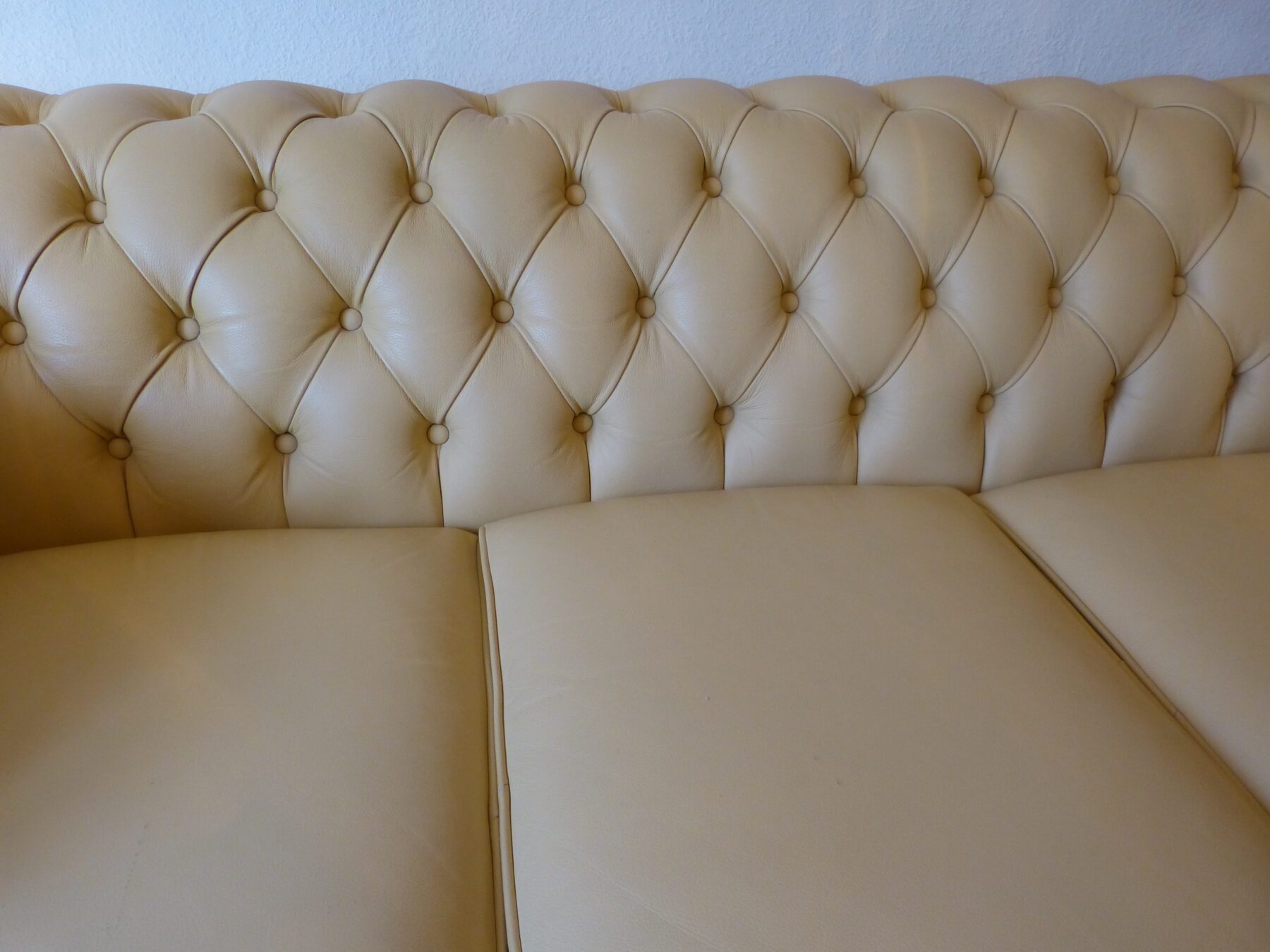 P1020463-scaled-2.jpg