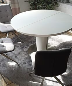 Eßzimmertisch mit 4 passenden Stühlen