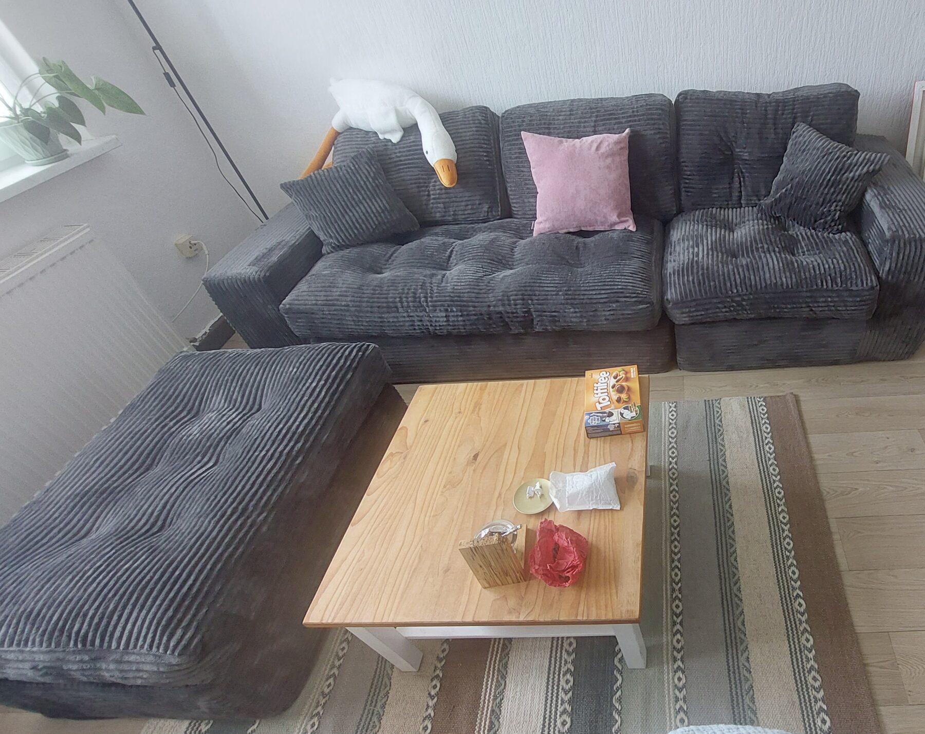 20260610_145622-scaled-1.jpg