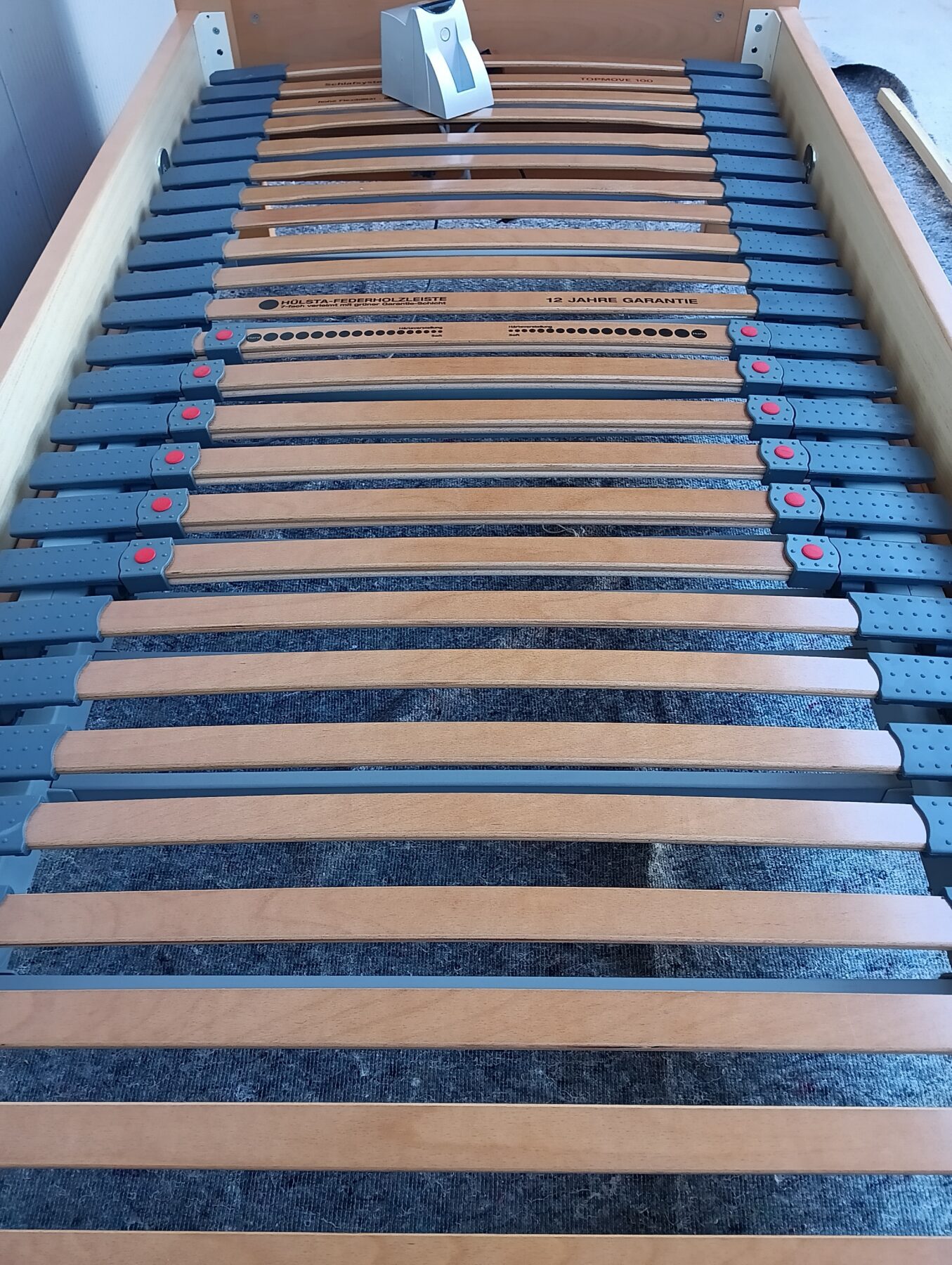 IMG_20260729_100649344-scaled-1.jpg