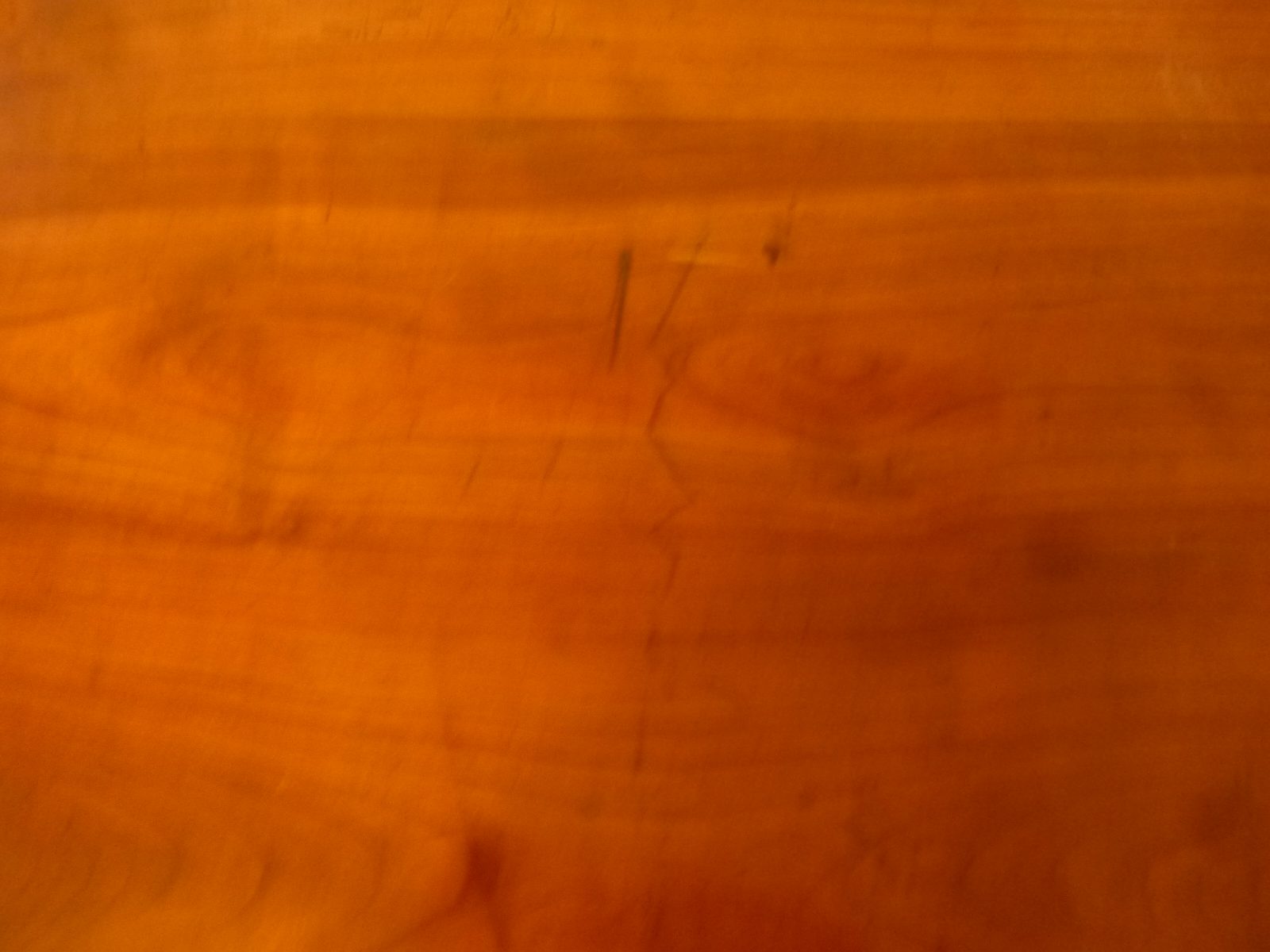 P1010191.jpg