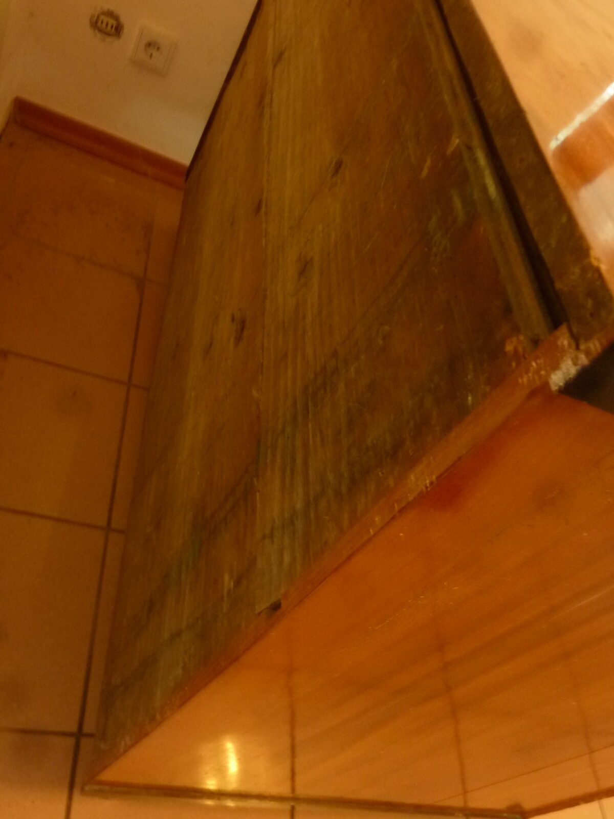 P1010194-rotated-1.jpg