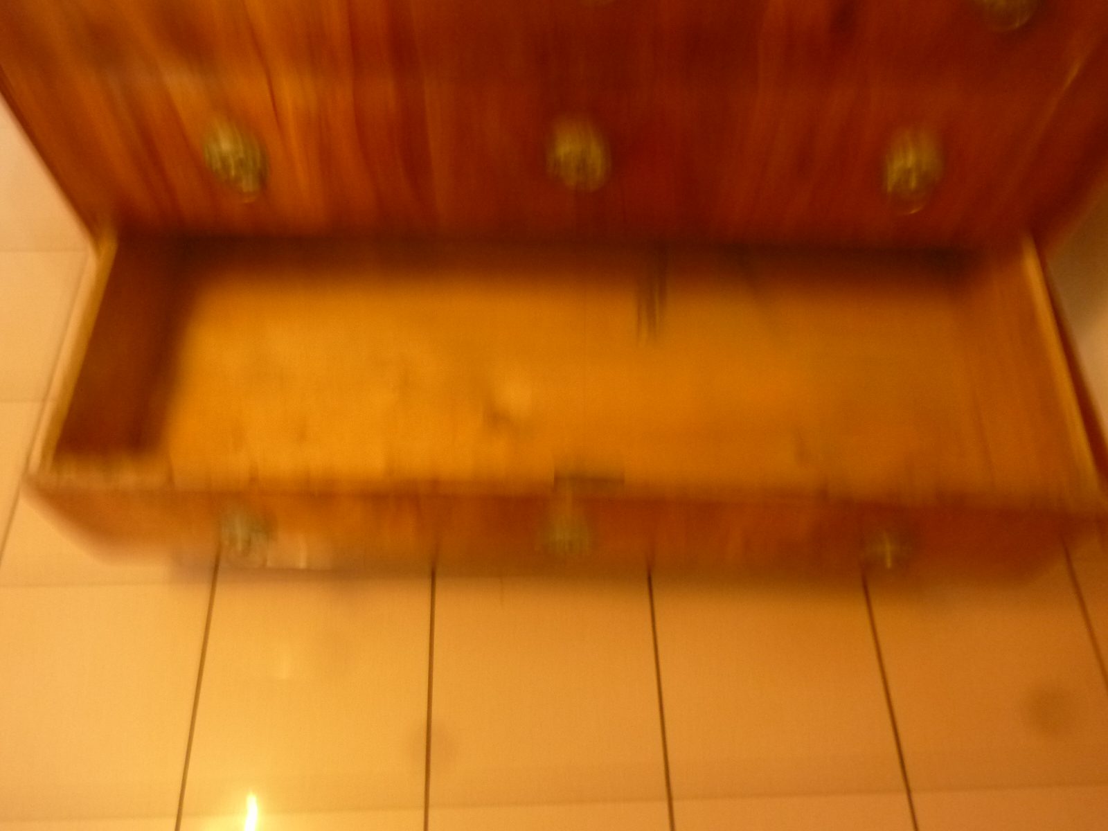 P1010199.jpg