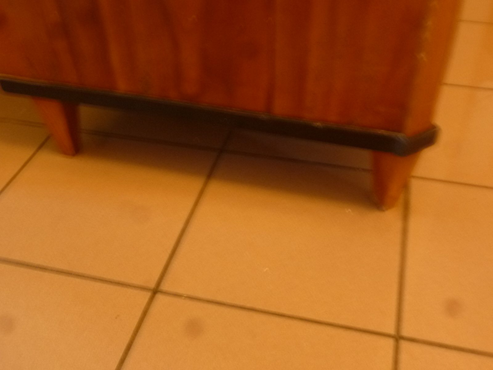 P1010203.jpg