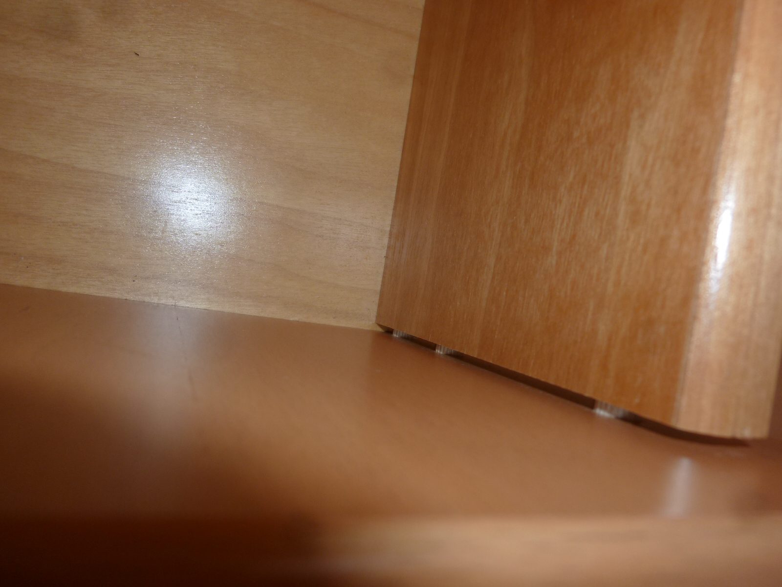 P1010219.jpg