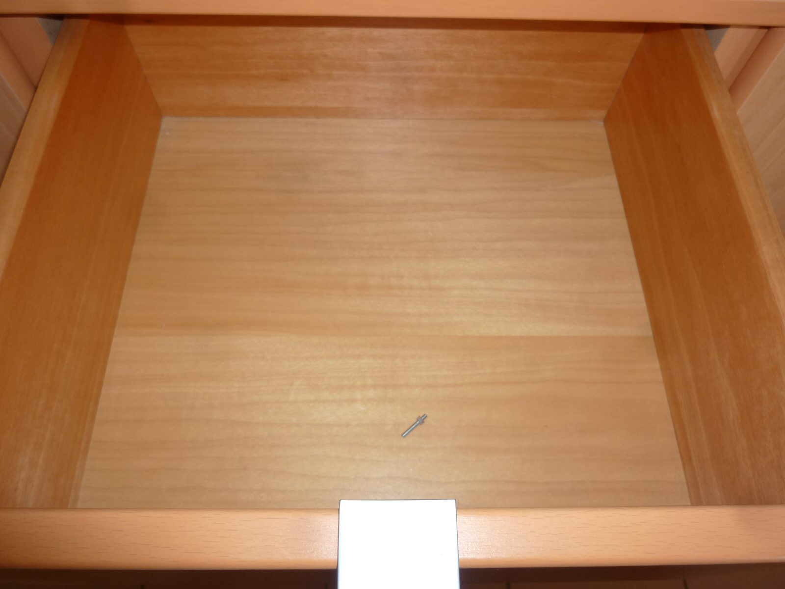 P1010220.jpg