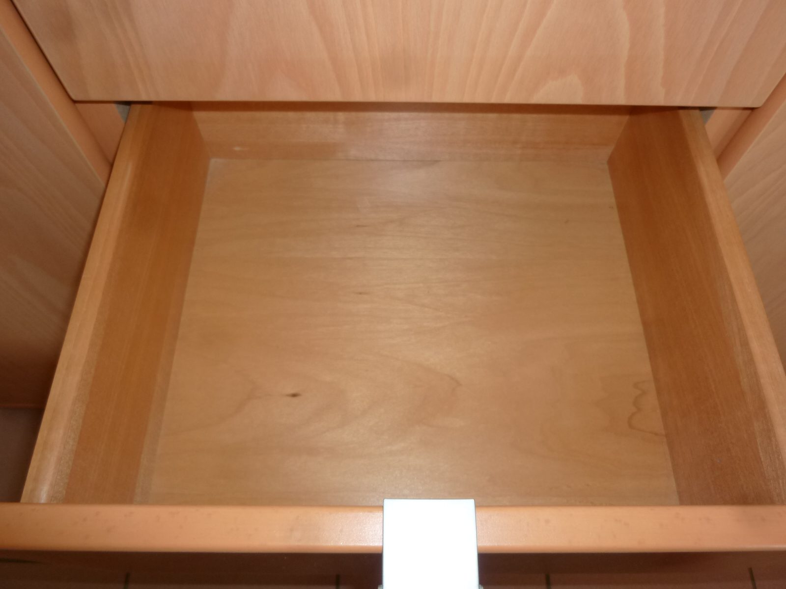 P1010221.jpg