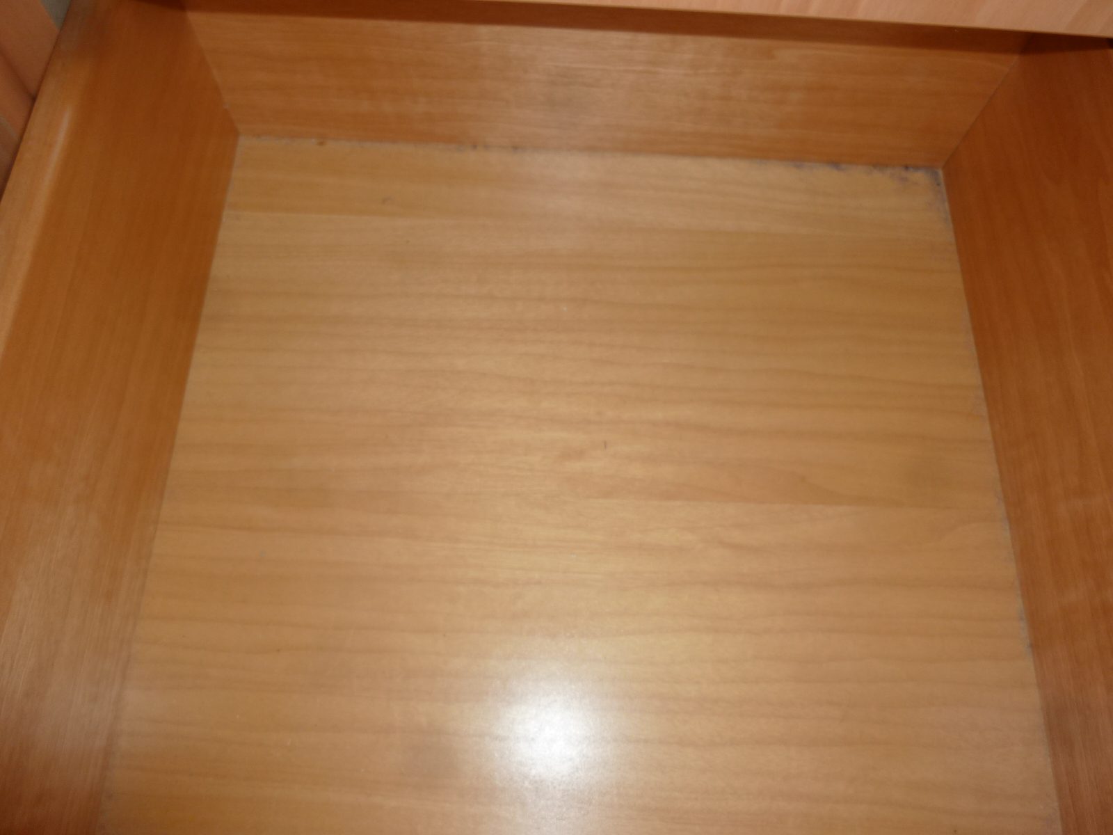 P1010223.jpg