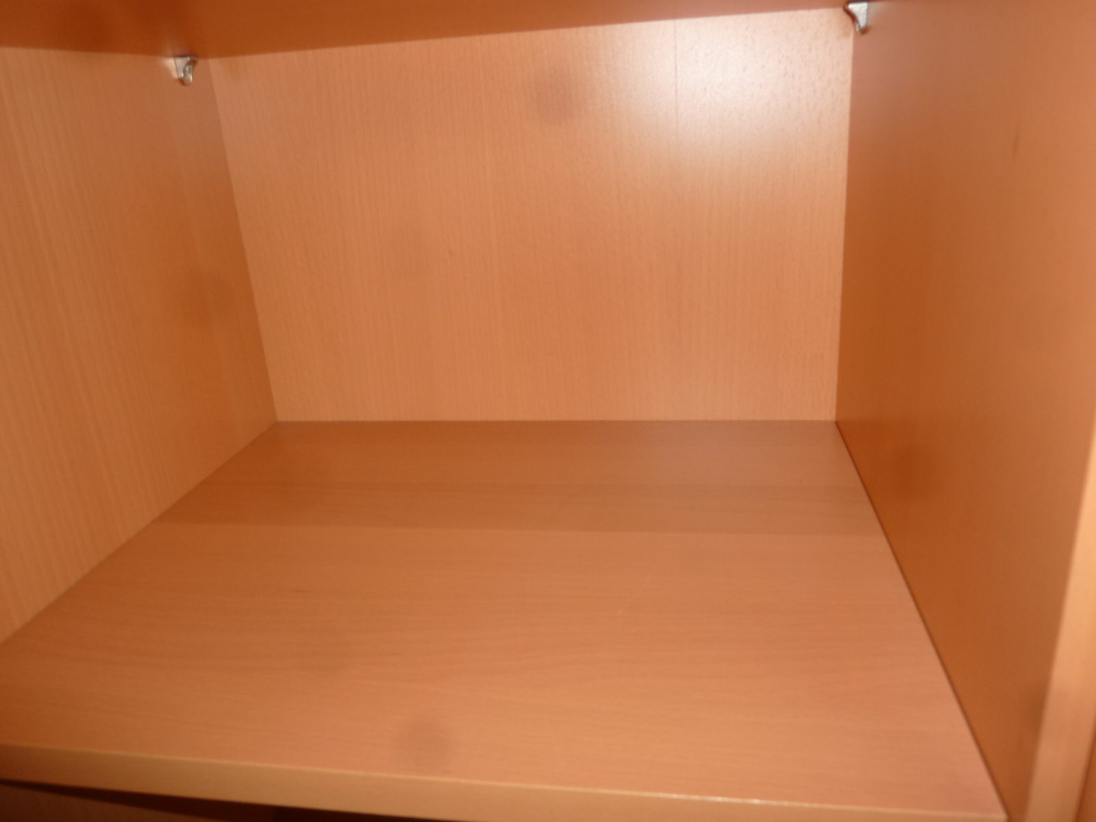 P1010225.jpg