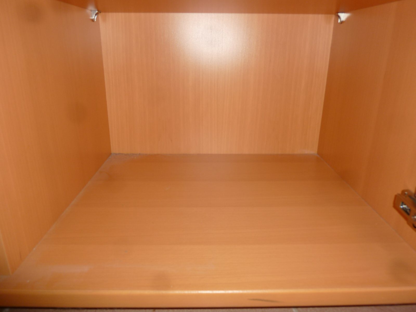 P1010229.jpg