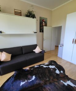 Schrankbett, Apartmentwohnwand