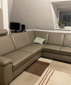 Hauptleder Sofa - Torro Artischocke - Top Zustand