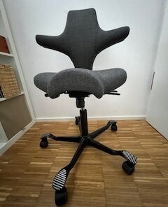 Bürostuhl HAG Capisco
