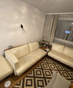 Rolf Benz Leder Couch