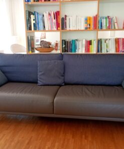 Rolf Benz Sofa und Sofabank