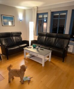 Ledersofa von Multipolster