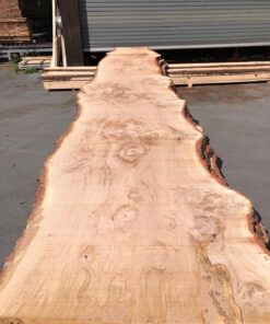 XXXL Eichentisch 750cm * 150 cm * 7 cm ca. 800 Jahre alt